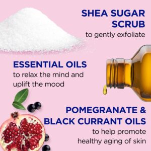 DR. TEAL'S POMEGRANATE & BLACK CURRANT SHEA SUGAR SCRUB 538g - Imagen 2