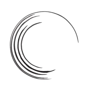 ESSENCE LASH PRINCESS LINER BLACK 3ml - Imagen 2