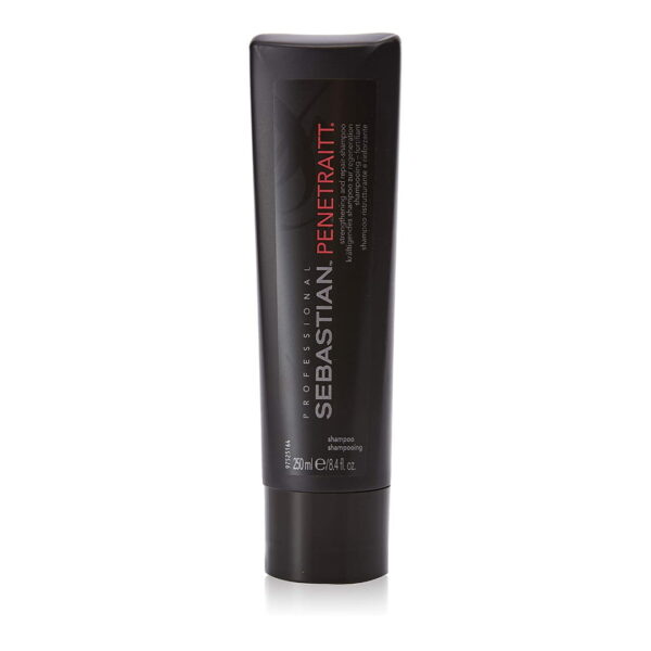 SEBASTIAN-PROFESSIONAL-PENETRAITT-SHAMPOO-250ml.jpg