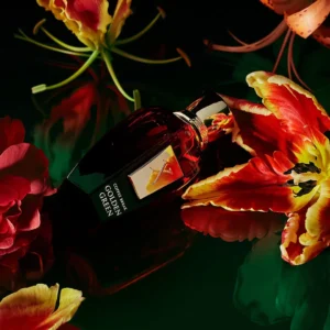 XERJOFF GOLDEN GREEN EAU DE PARFUM 50ml - Imagen 2