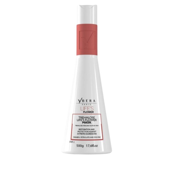 xr:d:DAFswYXZCY4:387,j:4032269255660051384,t:24031422