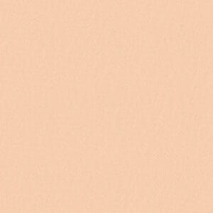 Clinique  Polvo compacto Stay Matte™ 01 7.6g - Imagen 2