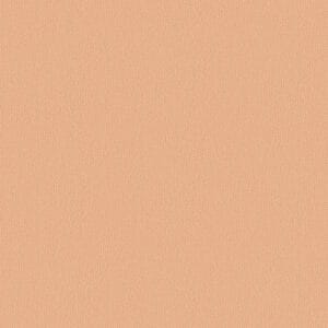 Clinique Polvo compacto Stay Matte™ 03 7.6g - Imagen 2