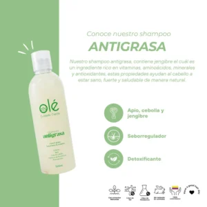 OLÉ SHAMPOO ANTIGRASA CEBOLLA, JENGIBRE & APIO 500ml - Imagen 2