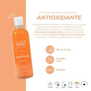 OLÉ SHAMPOO ANTIOXIDANTE MIX DE FRUTAS 500ml - Imagen 2