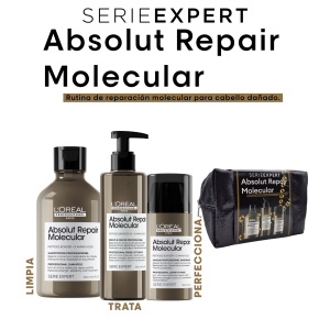 LOREAL PARIS SERIE EXPERT ABSOLUT REPAIR MOLECULAR KIT - Imagen 1