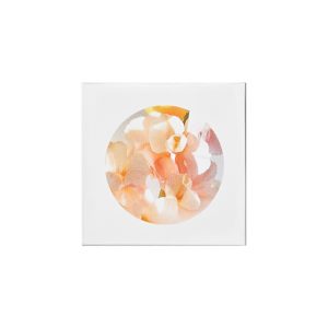 ETLEE EDP FREESIA BOUQUET EPM22 10ml - Imagen 2