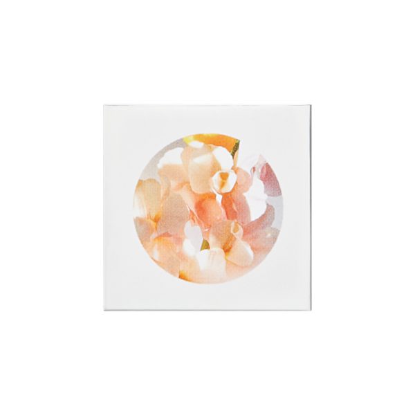 ETLEE EDP FREESIA BOUQUET EPM22 10ml - en Ultra Panamá